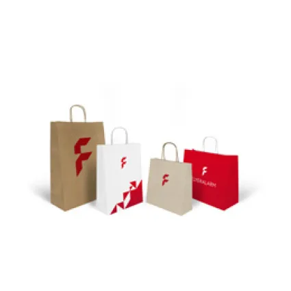 Basic paper bags with twisted cord handle, full-coverage print